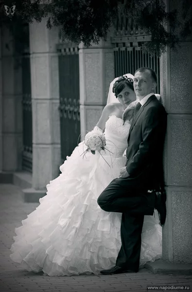 Aleksandr Hegai's photo