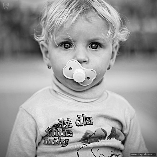 Фото Ширак Карапетян-Мильштейн